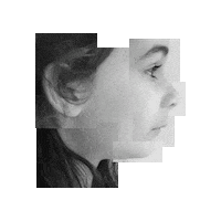 Face Photography Sticker