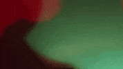 donovan wolfington GIF by Topshelf Records