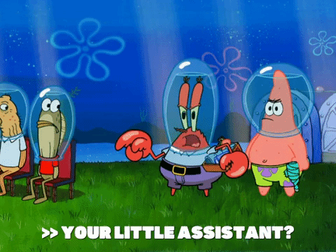 season 6 gullible pants GIF by SpongeBob SquarePants