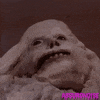 basket case horror GIF by absurdnoise