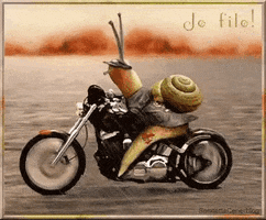 Deaf_Emoji_DSGS dsgs cxira cxira motorrad schnecke auf motorrad GIF