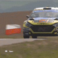 Erc GIF by FIA European Rally Championship