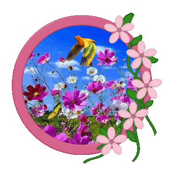 Spring Break Sticker
