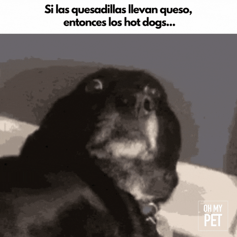 jimenapaolasosa giphyupload GIF