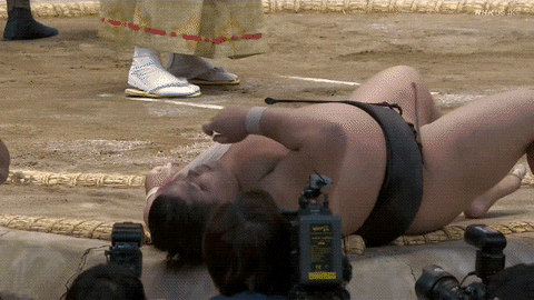 Sumo GIF