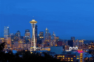 Bat Signal Cryptocurrency GIF by Swan Bitcoin