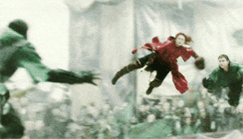 quidditch GIF