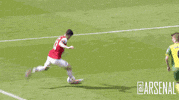 aaron ramsey wow GIF by Arsenal