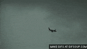 eclair GIF