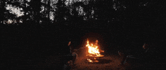 Camping Del Paxton GIF by Topshelf Records