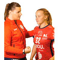 Sport Handball Sticker