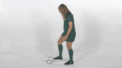 Huntington University GIF by FDN Sports