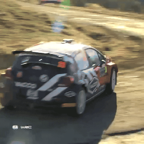 Speed Slide GIF by FIA World Rally Championship