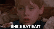 macaulay culkin christmas movies GIF