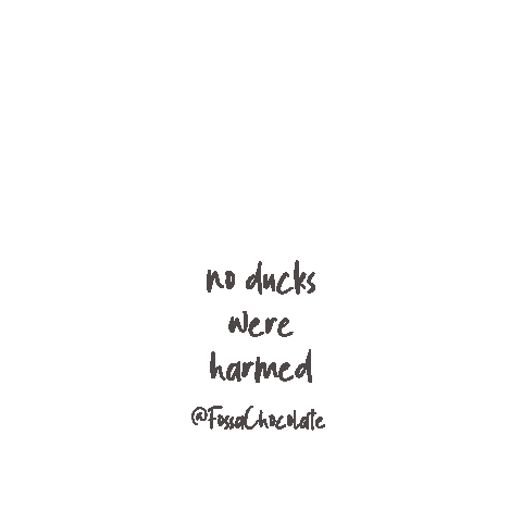 fossachocolate giphyupload bird tea chocolate Sticker