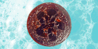 Soap GIF