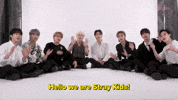 K-Pop Stray Kids GIF by BuzzFeed