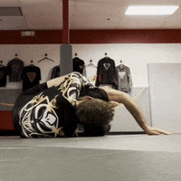 Ufc Grappling GIF