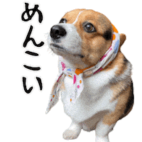 Corgi Milo Sticker
