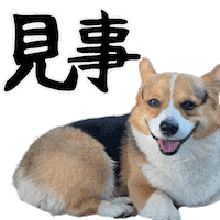 Corgi Wow Sticker