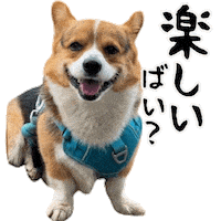 Corgi Milo Sticker