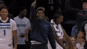 Celebration Nba GIF by Minnesota Timberwolves