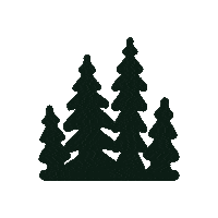 Snow Snowboarding Sticker by Dopesnow