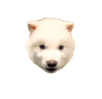 Puppy Wolf Sticker by Colossal