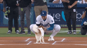 Los Angeles Dodgers Sport GIF by MLB