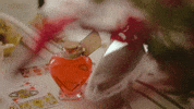 Music Video Flowers GIF by ari hicks