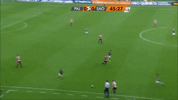 cobertura dudu GIF by SE Palmeiras