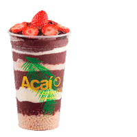 acaiconcept acai acaiconcept viciadosemacai Sticker