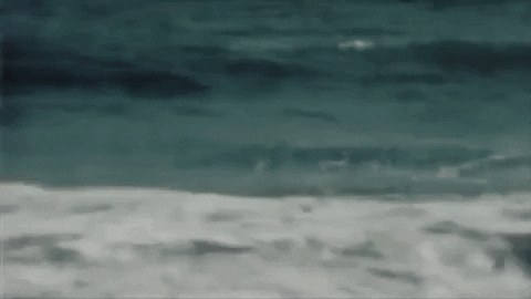 The Wave GIF by Bedouine