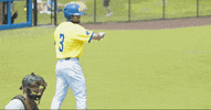 BlueHens friends baseball high five teammates GIF