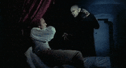 Phantom Der Nacht Vampire GIF