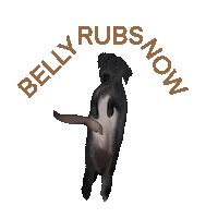 Animated Sticker