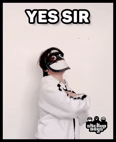 Sir Yes GIF by Stick Up Music