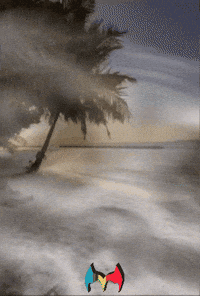 Sol Quiero GIF by Murcianys LLC