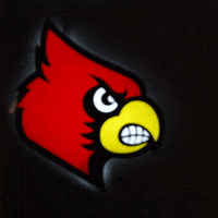 University Of Louisville GIF by Louisville Cardinals
