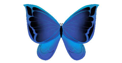 Butterfly Insect Sticker