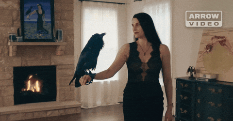 Church Of Satan Pet GIF by Arrow Video