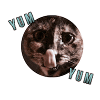 IXSERA cat cats bolts eb Sticker