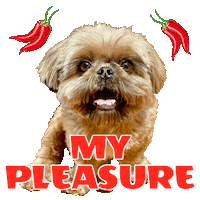 Pleasure Zorro Sticker by Pimp Yo Pets