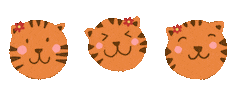 Cats Joy Sticker