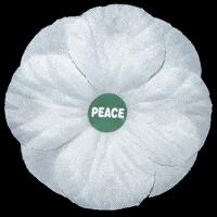 PeacePledgeUnion peace remembrance pacifist remembrance sunday GIF
