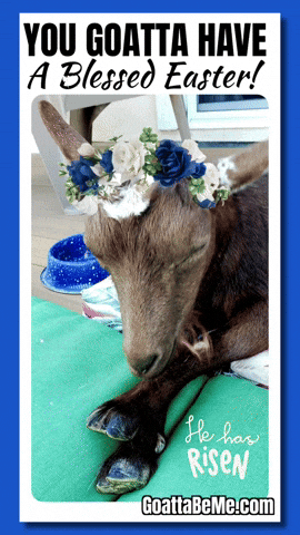 He Has Risen Happy Easter GIF by Goatta Be Me Goats! Adventures of Java, Toffee, Pumpkin and Cookie!