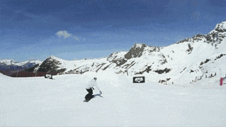 ski fail GIF