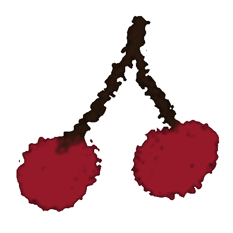Cherry Fruits Sticker