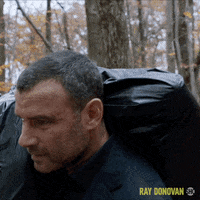 Season 7 Showtime GIF by Ray Donovan