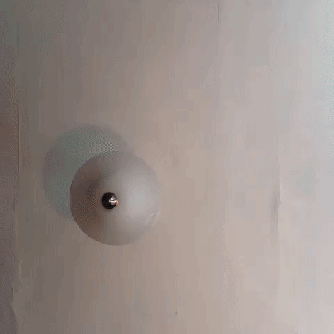 GIF by hazelst